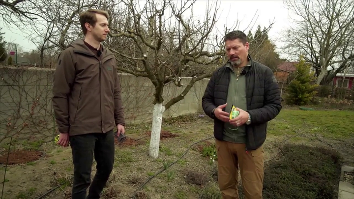 Nová záhrada - kučeravosť listov